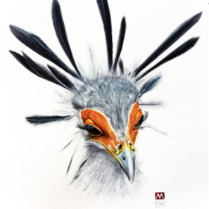 Madame Secretary Bird - Art Greeting Card