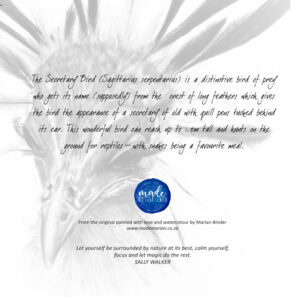 Madame Secretary Bird - Art Greeting Card