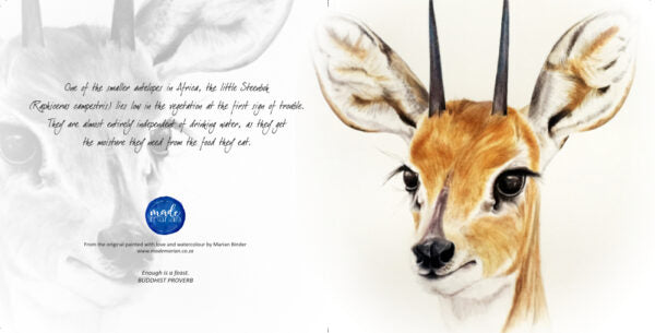 Steenbokkie - Art Greeting Card