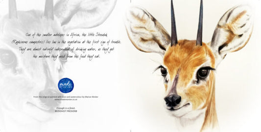 Steenbokkie - Art Greeting Card