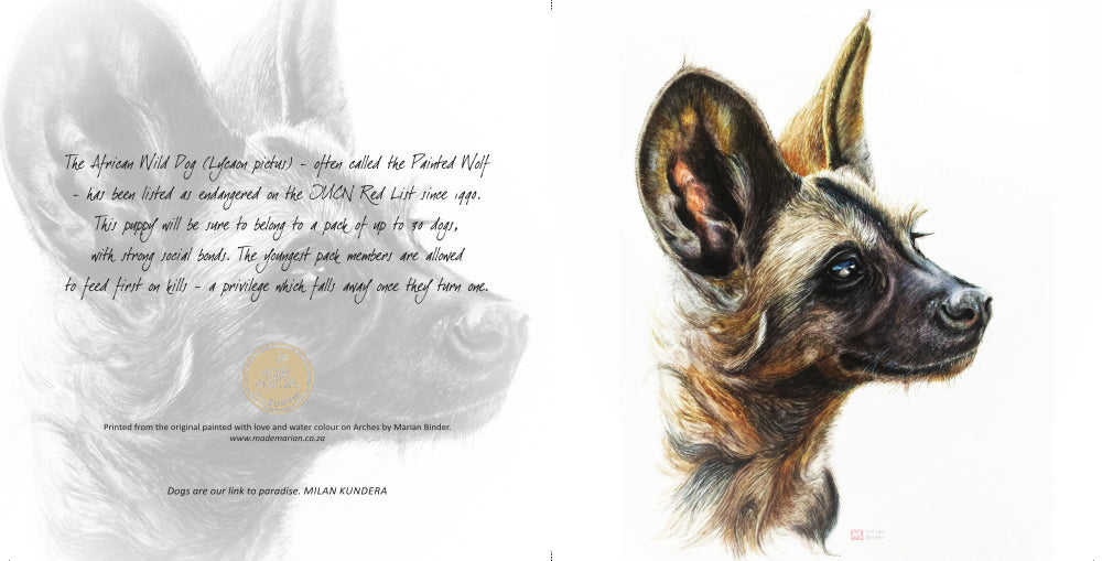 African Wild Dog Puppy - Art Greeting Card