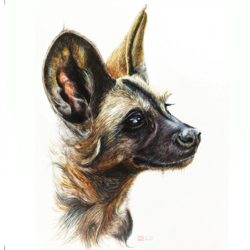 African Wild Dog Puppy - Art Greeting Card