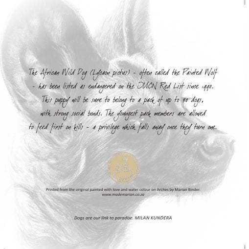 African Wild Dog Puppy - Art Greeting Card