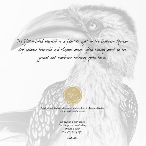 Yellow-billed Hornbill - Art Greeting Card