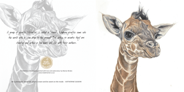 Baby Giraffe - Art Greeting Card
