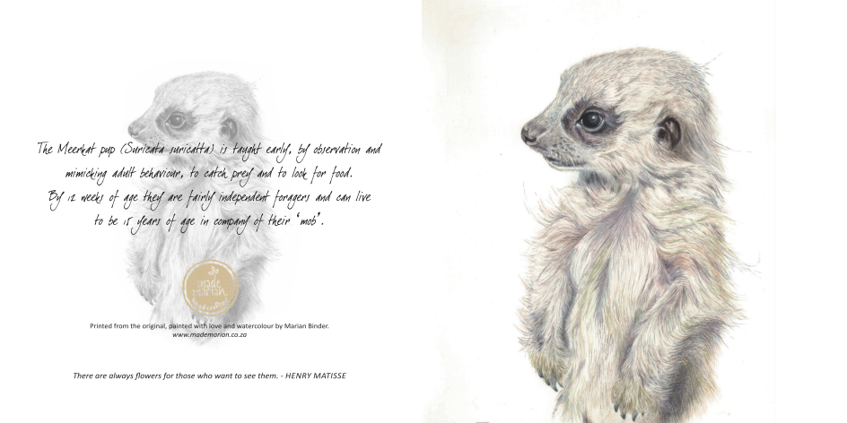 Baby Meerkat - Art Greeting Card