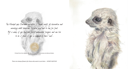 Baby Meerkat - Art Greeting Card