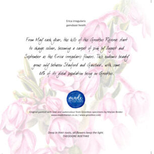 Gaansbaai Heath - Art Greeting Card