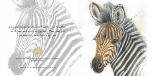 Zebra Foal - Art Greeting Card