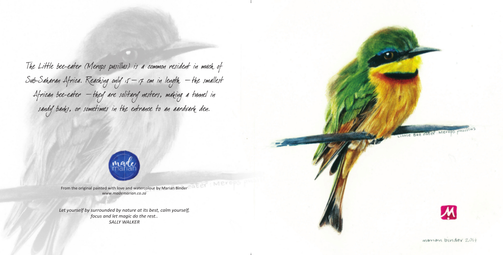 Little bee-eater Card RR