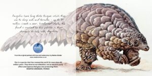 Pangolin on the move