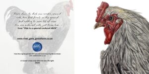 Ode to Jack the Cockerel